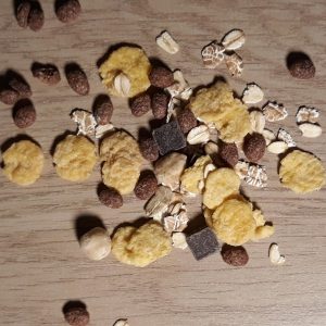 Muesli gourmand céréales chocolat noir – bio