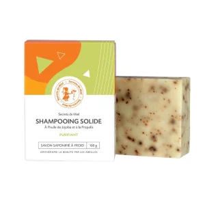 Shampooing solide Purifiant