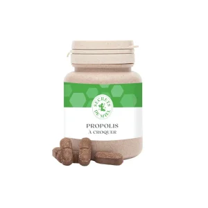 Propolis à croquer