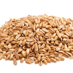 Petit épeautre  – bio