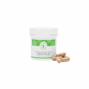 Propolis en gélules