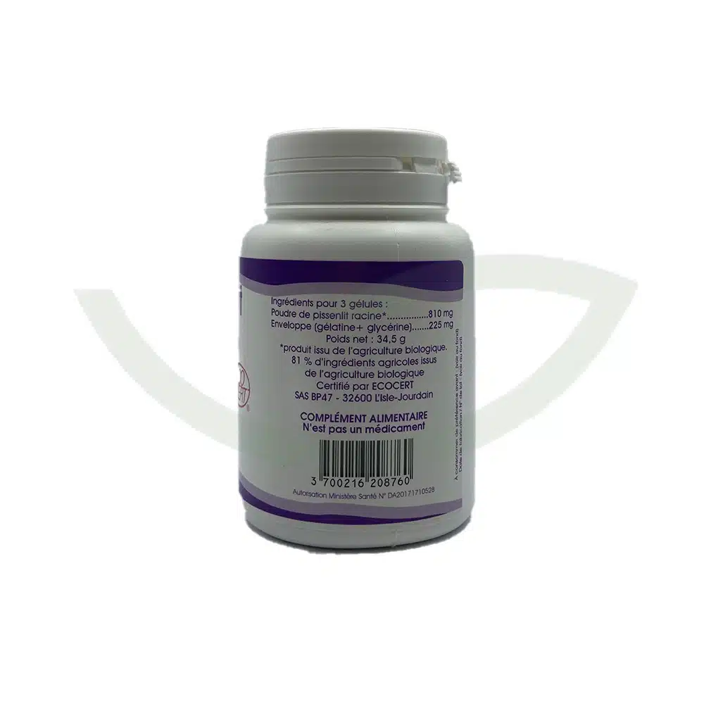 Pissenlit – 100 gélules – 270mg – GPH – Image 2