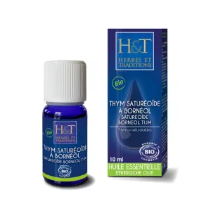 Thym Saturéoïde à Bornéol -10 ml – Herbes et Traditions