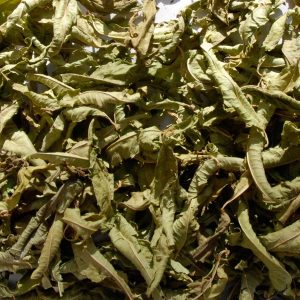 Tisane verveine bio