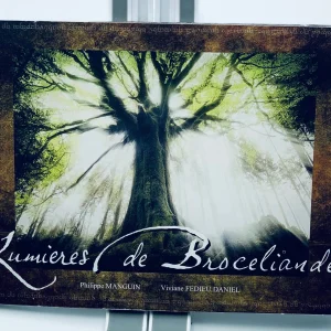 Lumières de Brocéliande Philippe Manguin Viviane Fedieu Daniel