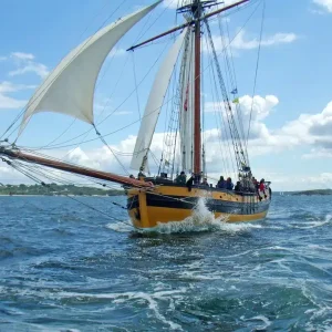 Visite de Brest (2h) – Groupe de 1 à 20 pers