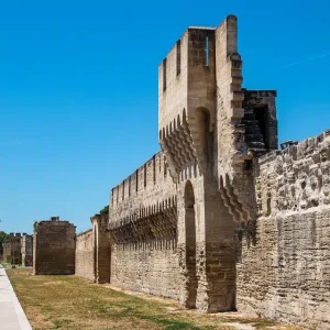 Visite de Avignon – Journée entière (8h)