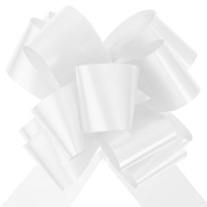 10 NOEUDS AUTO BLANC 50MM