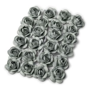 Roses grises – Lot de 24