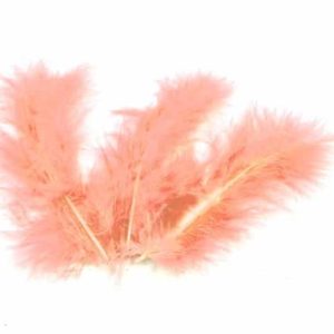 Plume pêche – Lot de 20
