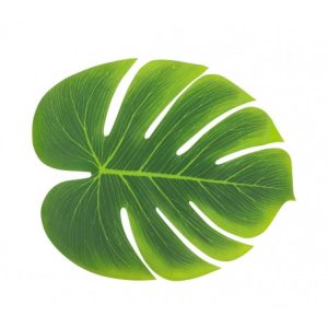 LOT DE FEUILLES TROPICALES